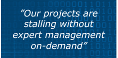 "Our projects are stalling without expert management on-demand"