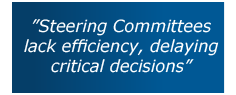 "Steering Committees lack effciency, delaying critical decisions"